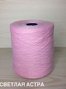 Светлая астра